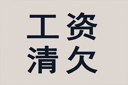 十万元借款无力偿还，可能面临何种刑罚？
